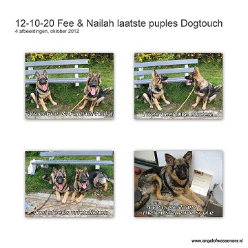 Laatste puppy les bij Dogtouch met Fanuël-Fee en Fuleriël-Nailah